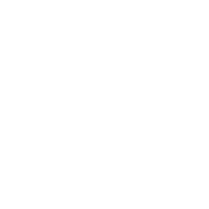 Logo Crash Override White (1)